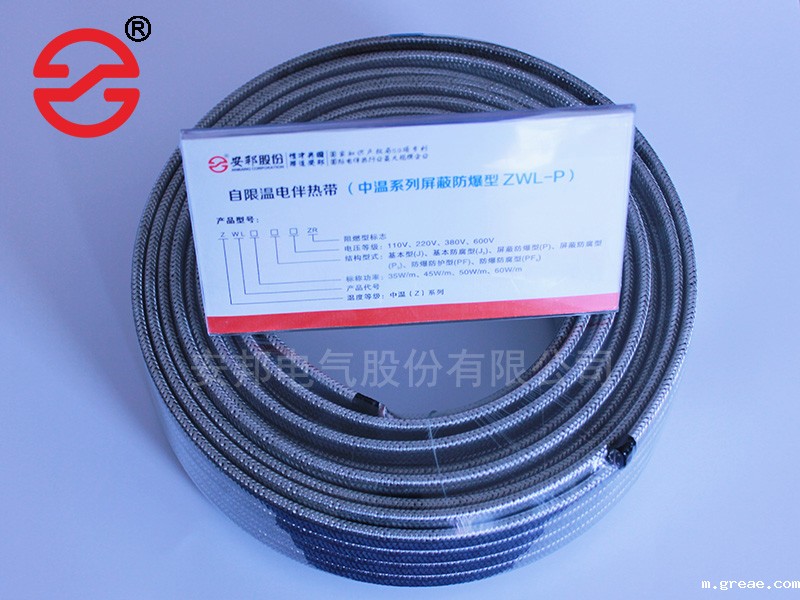 中温防爆电伴热带