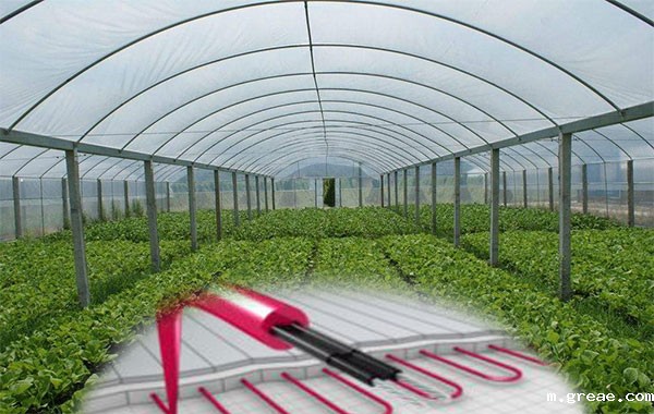 植物栽培电伴热带保温促生长