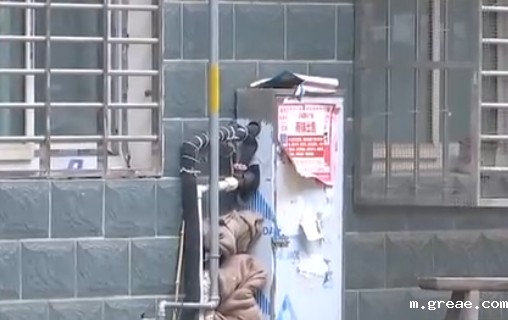 自来水管道保温电伴热带，冬季管道防冻新宠(图2)