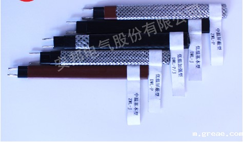 体育竞彩足球AC米兰近照