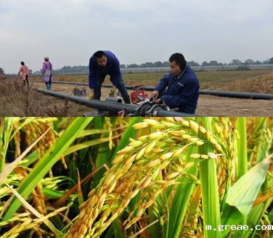 灌溉防冻电伴热
