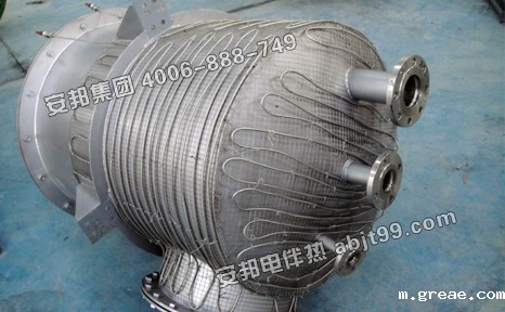 新昌制药电伴热保温MI加热电缆安装案例(图2)